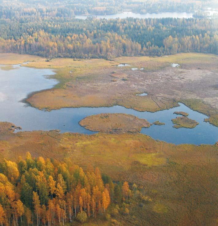 telujen yhteydessä. Jo ennen Etelä-Savon vesienhoidon yhteistyöryhmän perustamista pidettiin vesienhoidosta 15.10.2003 ja 23.9.2004 laajat sidosryhmätilaisuudet Mikkelissä.