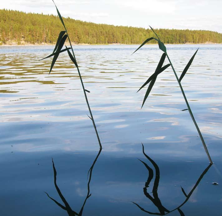 2. Vesienhoitoon liittyvät ohjelmat ja suunnitelmat 2.1.