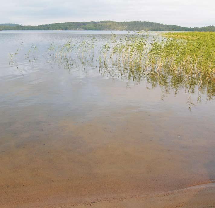 3.5.2.Vaikutukset aineiden kulkeutumiseen valuma-alueelta vesistöihin Aineiden kulkeutuminen vesistöihin riippuu pitkälti valunnasta ja alueen maankäytöstä.