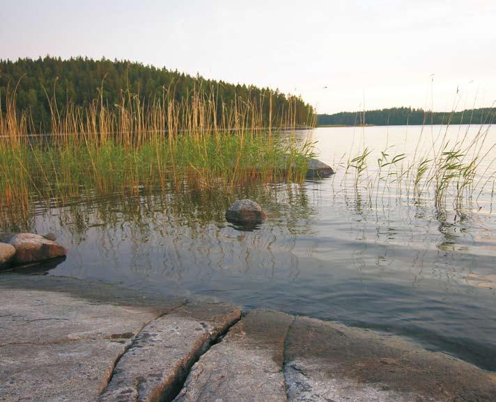 kirkkaita järvityyppejä. Vesialue on rajattu eri muodostumiin hydrologisten ominaisuuksien vuoksi, joista varsinainen pääallas sekä Väistönselkä-Utrasselkä käsittävät suurimman osan.