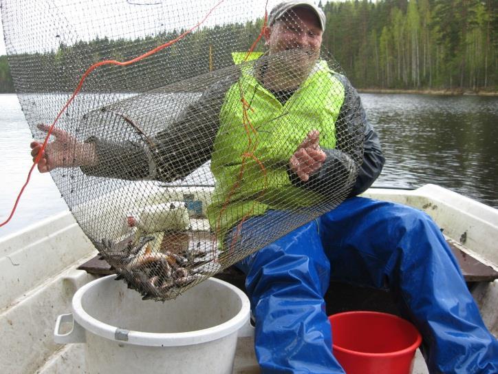 Tutkimustoiminta Evon järvillä Kalayhteisön