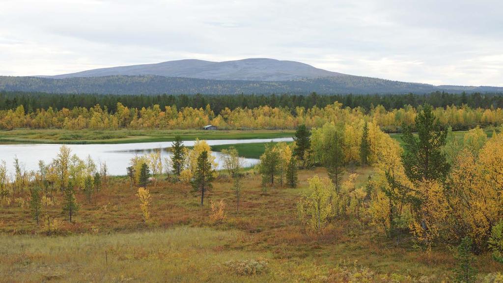 Tervetuloa, tehdään yhdessä hyvä seminaari, nautitaan upeasta