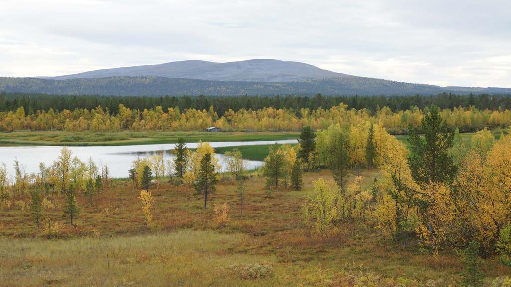 Tervetuloa, tehdään yhdessä hyvä seminaari, nautitaan upeasta