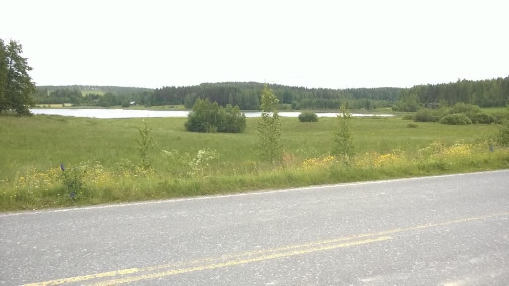 y101 /Leppälahden osayleiskaava/kaavaselostus 23.5.2017 (12) Kuva 6 Orajärven eteläosan avointa maisemaa.