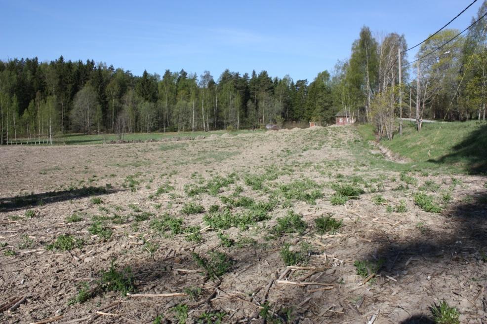 18 DG2163:1 Kirkkonummi Sigurdsberg