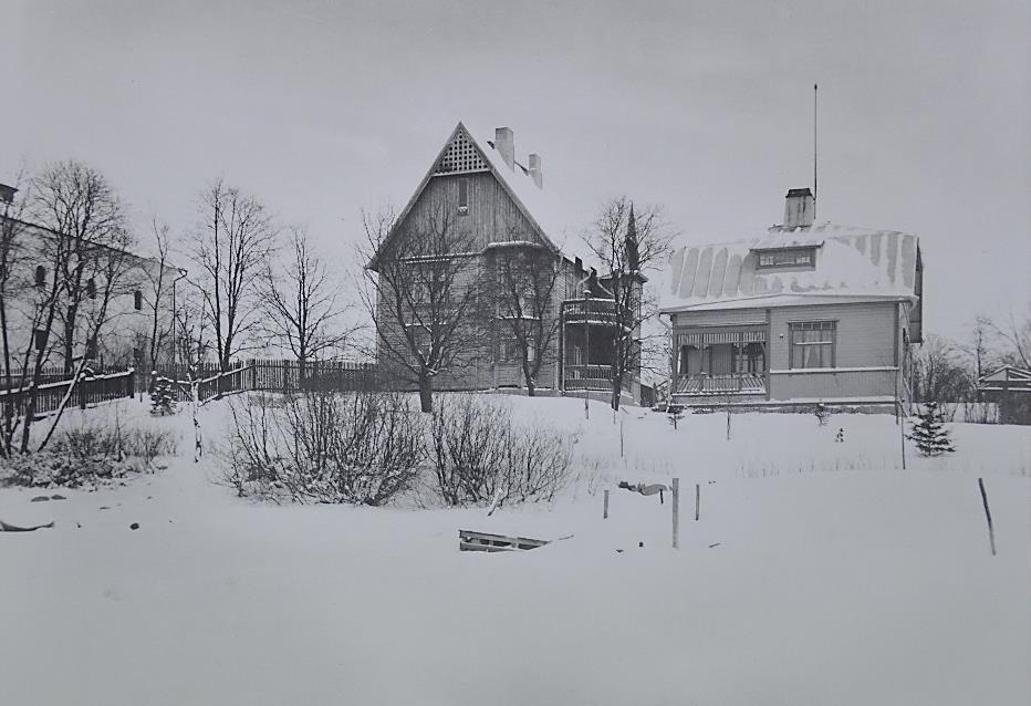 1890-1910 -luku Hämeenlinnan Verkatehdas Oy saa Keinusaaren alueelta tehdastontin, joka ulottuu rantaan saakka. Tehtaan alue erotetaan puistosta puuaidalla.