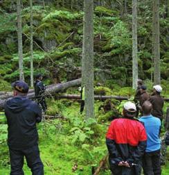 20 VUOTTA LUONNON- HOIDON KOULUTUKSIA Metsän luonnonhoito on kaikkien metsässä työskentelevien perusosaamista.