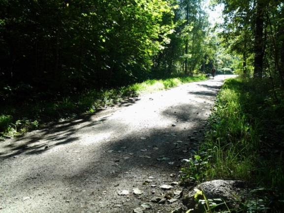 Pyöräilyreitistön kehittämistarpeet Vallinkoskentien