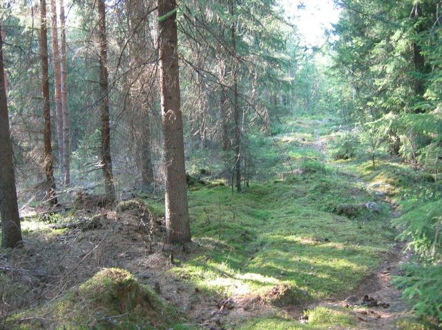 Ylöjärven puolella tielinjaus kulkee kaukana vanhasta (1700l tai vanhempi) asutuksesta, alueella jonne yksittäistiloja asettui vasta 1800-luvulta lähtien.