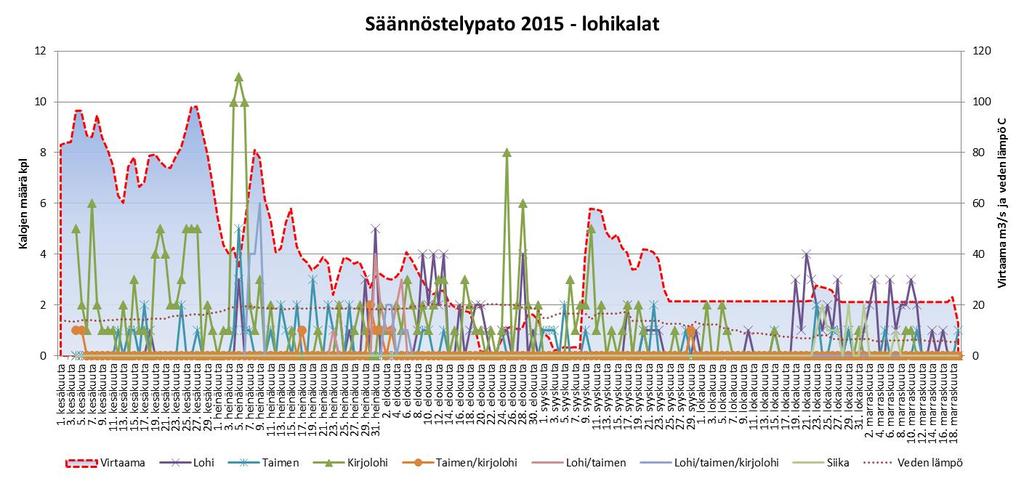 Kuva 5. Säännöstelypadon kalaportaassa ylöspäin liikkuneiden lohikalojen määrät seurantajaksolla 4.6. 19.11.2015. Kuva 6.