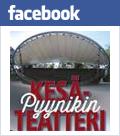 NISKAVUOREN NUORI EMÄNTÄ Uusi upea musikaali Pyynikin kesäteatterissa 2017 Pyynikin kesäteatteri juhlistaa 100-vuotiasta Suomea esittämällä kesällä 2017 ikiklassikon Niskavuoren nuori emäntä.