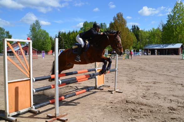 2-tason kilpailut esteratsastuksessa 22.5 järjestettiin 2-tason esteratsastuskilpailut ulkona auringonpaisteessa.