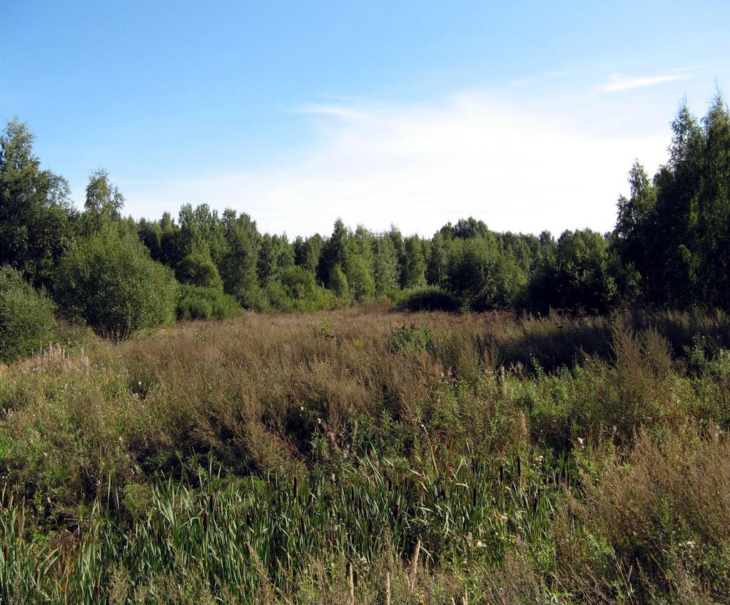 KULOMÄEN TYÖPAIKKA-ALUEEN LAAJENNUKSEN