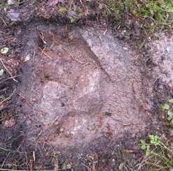 10 cm pinnasta, heti löytöjen (keramiikkaa ja kivilaji-iskos KM 39156:5-6) alapuolelta. Kivien alla oli muutamia hiilenpaloja, mutta selvää likamaavärjäymää ei ollut näkyvissä.