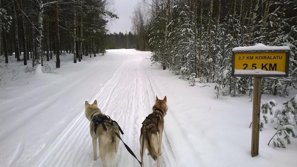 tai saman reitin käyttöä eri viikonpäivinä tai