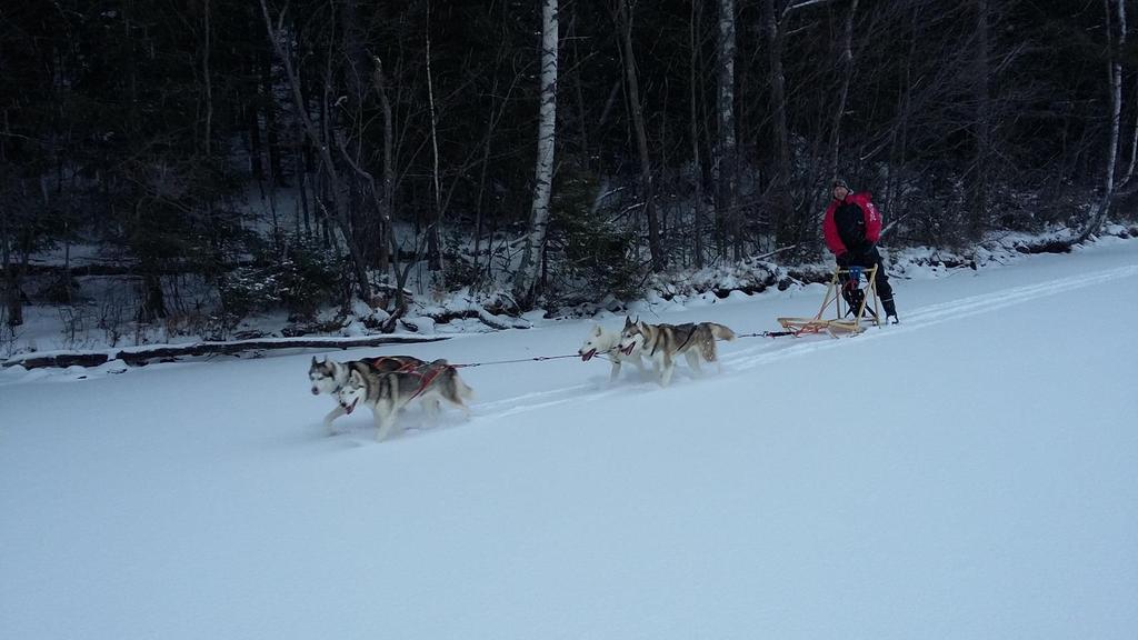 Jokamiehenoikeudellakin liikutaan