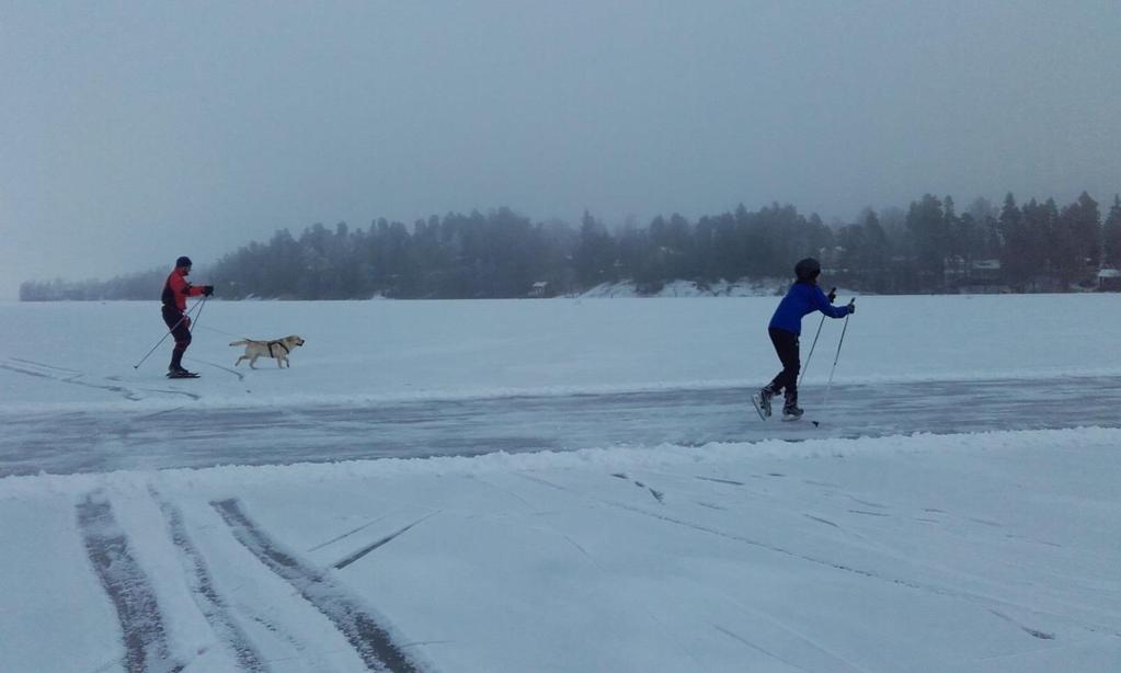 Luonnonjää on haluttu liikuntapaikka.