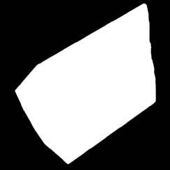 Voimakassuolainen. 180 150 n.