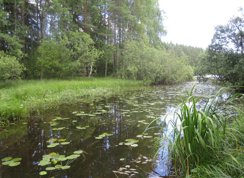 piilossa yleisiltä liikenne joka on vähän umpeutunut.