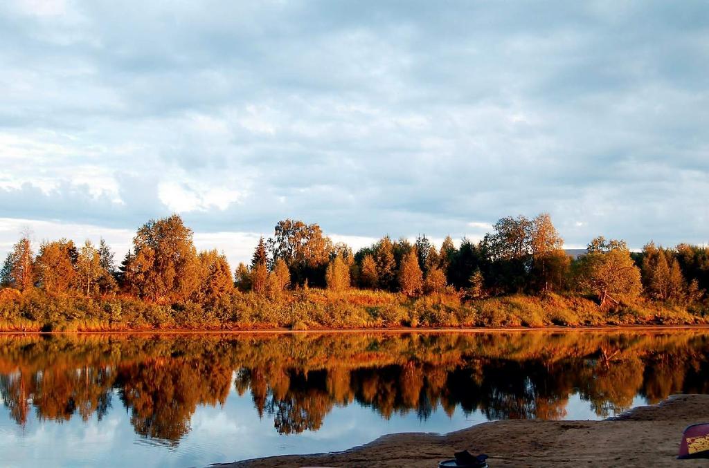 Kiitos Tervetuloa mukaan