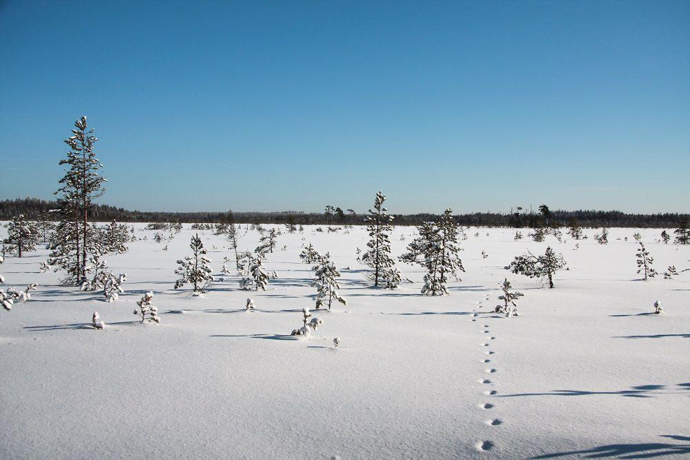 Yhteystiedot Suomen Luonnonsuojeluliitto ry