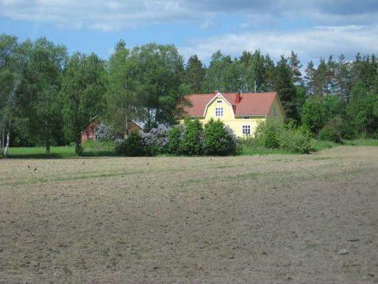 - On suositeltavaa rakentaa tieltä katsoen ylärinteen ja/tai metsän puolelle.