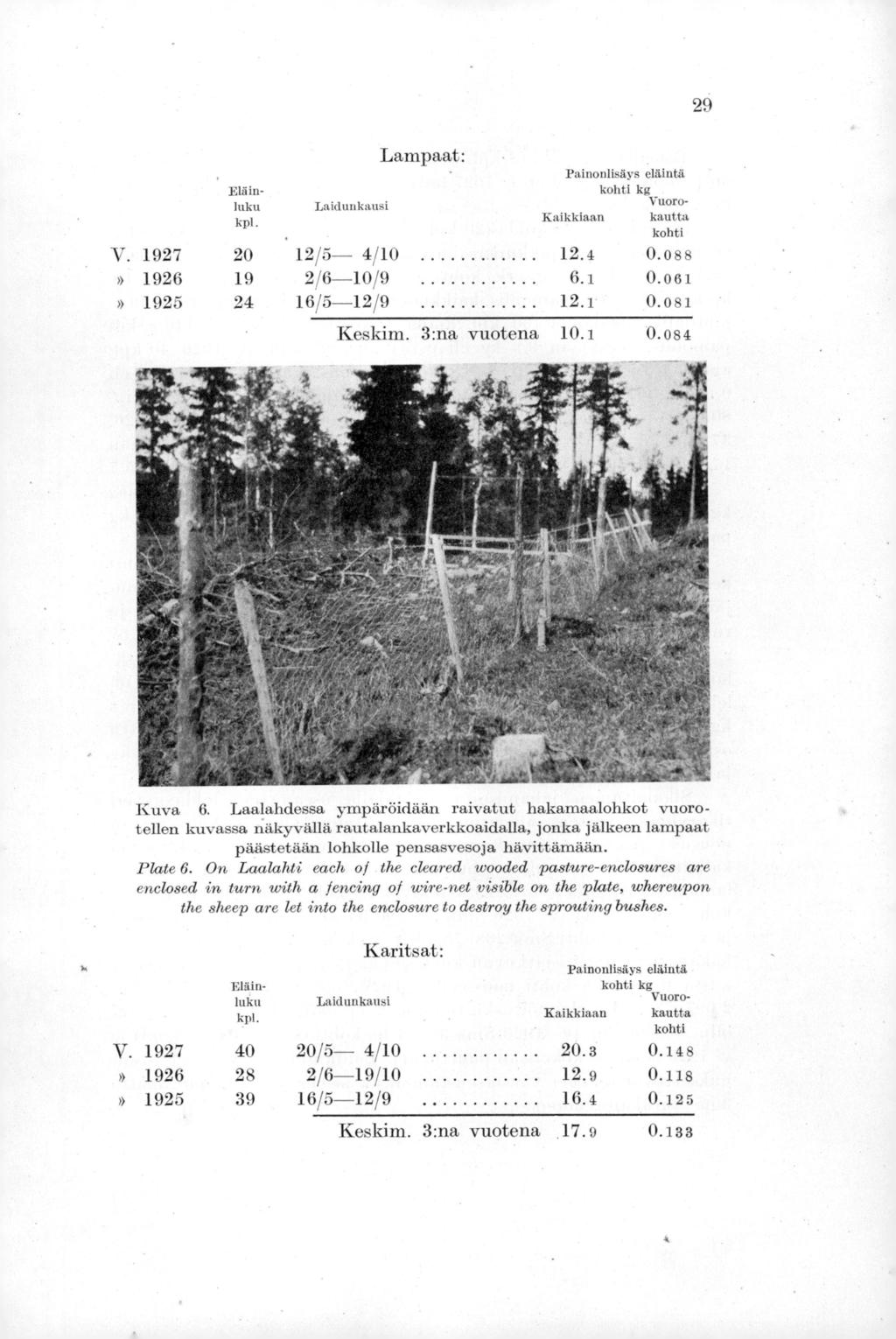 Eläinluku kpl. Laidunkausi Lampaat: PainonlisAys eläintä kohti kg Vuoro- Kaikkiaan kautta kohti V. 1927 20 12/5-- 4/10 12.4 0.088» 1926 19 2/6-10/9 6.1 0.061» 1925 24 16/5-12/9 12.1 0.081 Keskim.