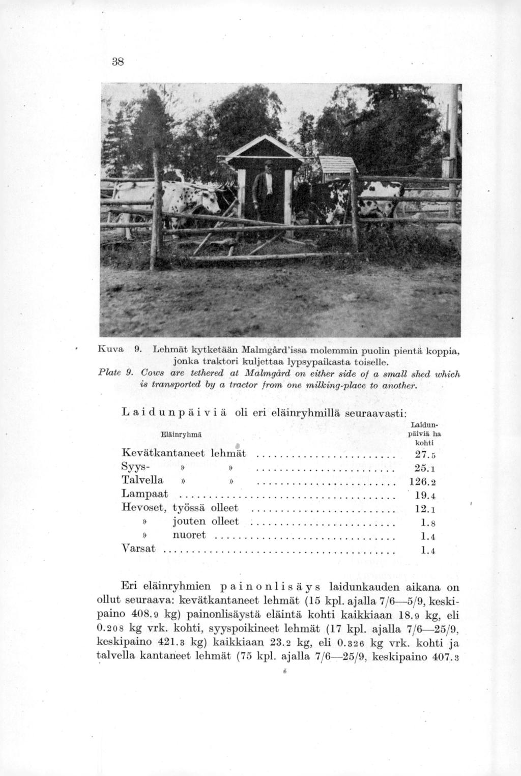 38 Kuva 9. Lehmät kytketään Malmgard'issa, molemmin puolin pientä koppia, jonka traktori kuljettaa lypsypaikasta toiselle. Plate 9.