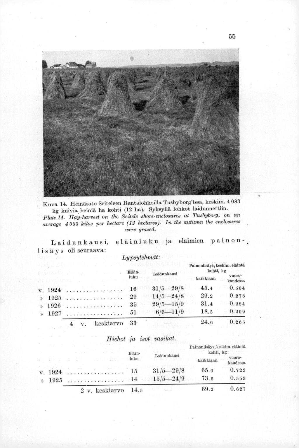 55 Kuva 14. Heinäsato Seiteleen Rantalohkoilla Tusbyborg'issa, keskim. 4 083 kg kuivia. heiniä ha kohti (12 ha). Syksyllä lohkot laidunnettiin. Plate 14.