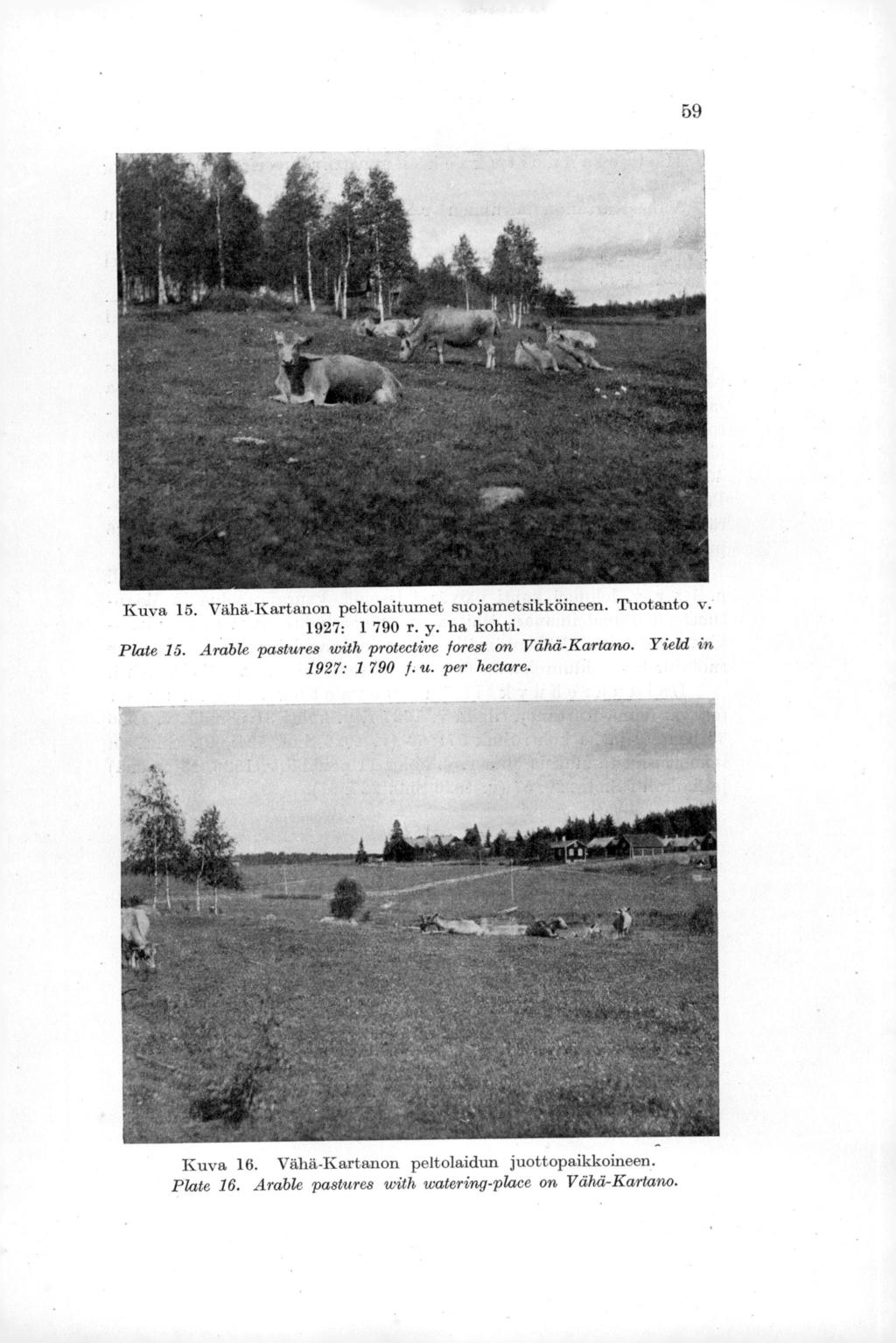 59 Kuva 15. Vähä-Kartanon peltolaitumet suojametsikköineen. Tuotanto v. 1927: 1 790 r. y. ha kohti. Plate 15.
