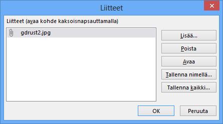 Kuva 104 Kuva lomakkeen kentässä Voit lisätä kuvaliitteen kenttään kentän pikavalikon Liitteiden hallinta (Manage Attachments) -komennolla.