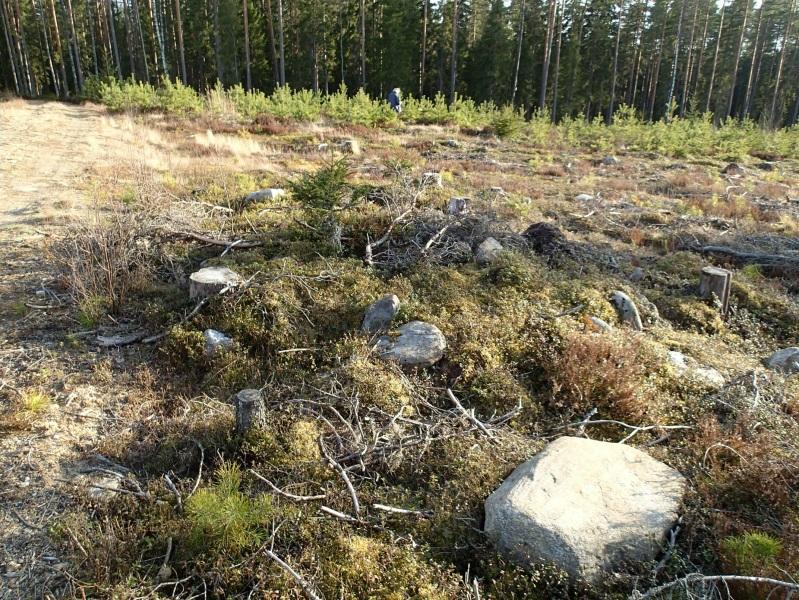 7 Huomiot: Metsätieuran länsipuolella on