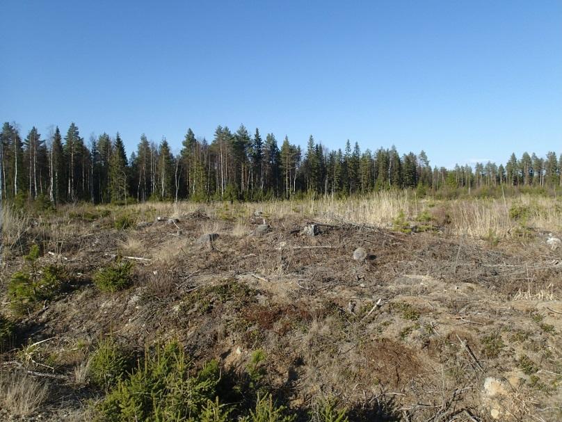 MEtsätien itäpuolella on tervahauta, halkaisijaltaan n. 12 m (N 6915690 E 232071), siitä n.