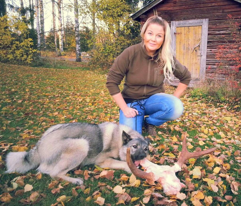 Nokituvan kennel Tuire Ruuska ja Ilari Janhunen, Äänekoski Kennelnimen Nokituvan saimme vuonna 2011. Kasvatamme Keski- Suomessa Äänekoskella Norjan harmaita hirvikoiria sekä Jämtlanninpystykorvia.