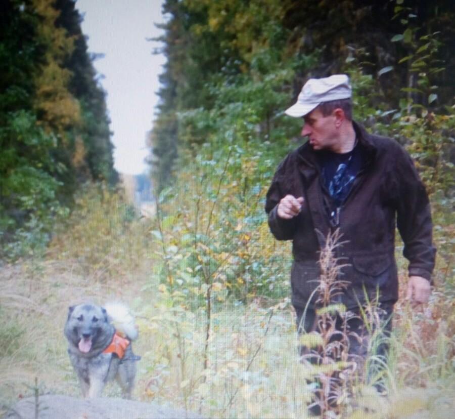 Kölöperin kennel Jussi ja Esko Hartvik, Laihia Ensimmäinen hirvikoira hankittiin vuonna 1979 ja Kölöperin kennelnimi myönnettiin vuonna 1998.