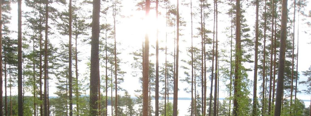 4. Suunnittelun lähtökohdat 4.1 Suunnittelualueen nykytila Suunnittelualueelle saavutaan Laivarannantietä pitkin, joka johtaa alueen eteläosassa sijaitsevalle satama-alueelle.