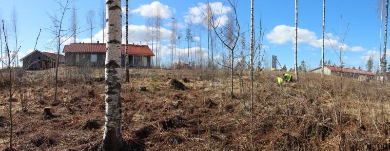 Ylhäällä AKDG5207:32 Panoraamakuva röykkiön 13 sijainnista.