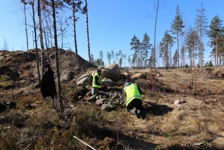 3. Tutkimusten käytännön toteutus Museoviraston Kulttuuriympäristöpalveluiden ohjeiden mukaisesti Pappilanniemi 2:n säilyneiden röykkiöiden pinta otettiin esille ja pinnat dokumentoida valokuvaamalla.