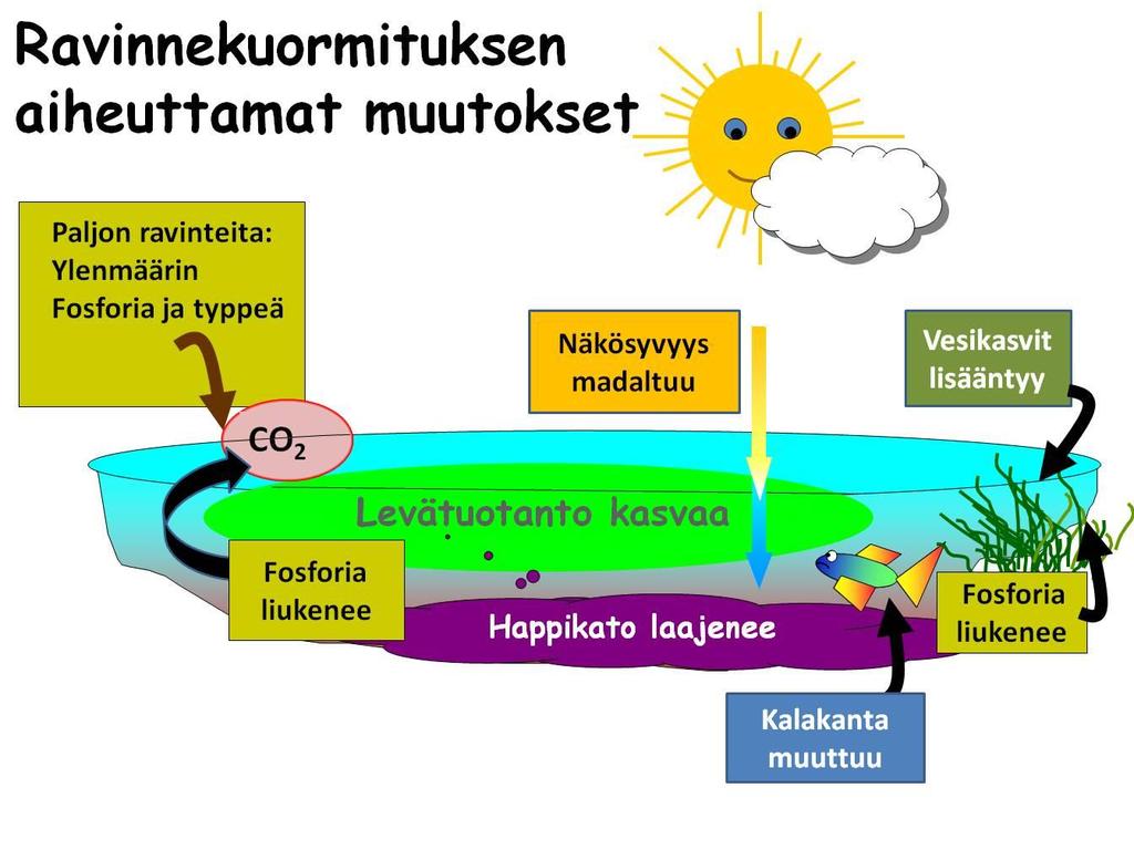 Hormajärven ympäristössä on paljon asukkaita, kuuluuhan se pääkaupunkiseudun jälkeen Uudenmaan kuudenneksi tiheimmin asuttuun kuntaan: Lohjalla on noin 114 asukasta neliökilometrillä 2.