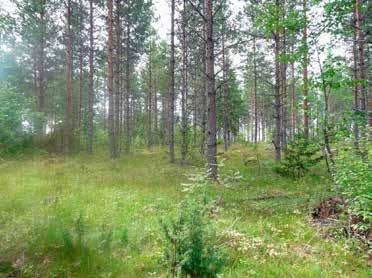 Länsi-Toholammin tuulivoimapuiston arkeologinen Länsi-Toholammin tuulivoimapuiston arkeologinen 8 9 2.