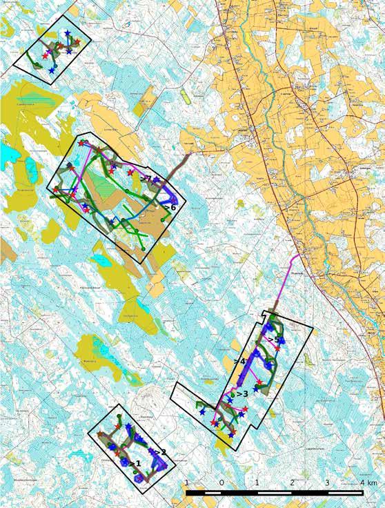 Purontakasesta etelään johtavan metsäautotien varrella, tiestä n. 50 m itään, Soidinkankaan pohjoisosassa.