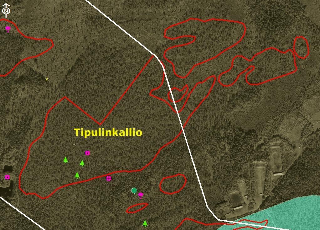 2. Tipulinkallio Tipulinkallio on laaja, varsin korkea kalliomäki.