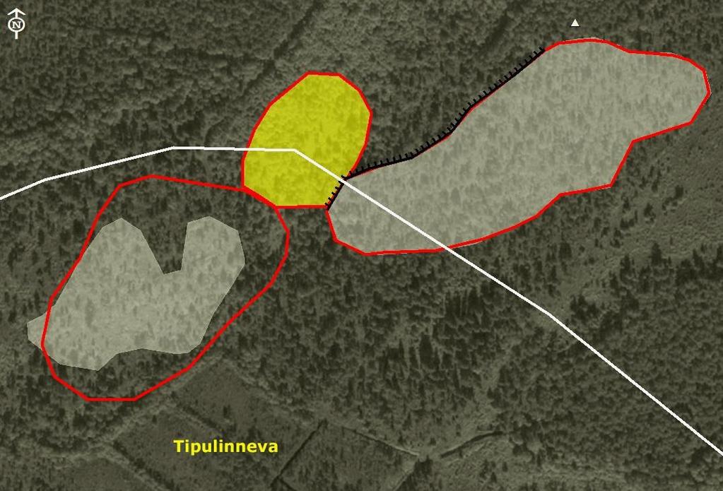 4. Lehtomainen kasvillisuusalue Tipulinnevalta koilliseen, kahden kallion välisessä notkelmassa, sen pohjoisrinteellä on lehtomainen kasvillisuusalue.