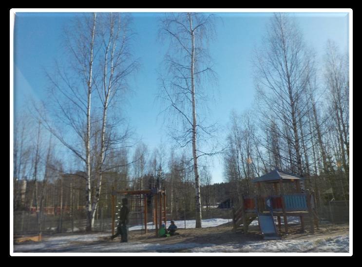 Luontoa