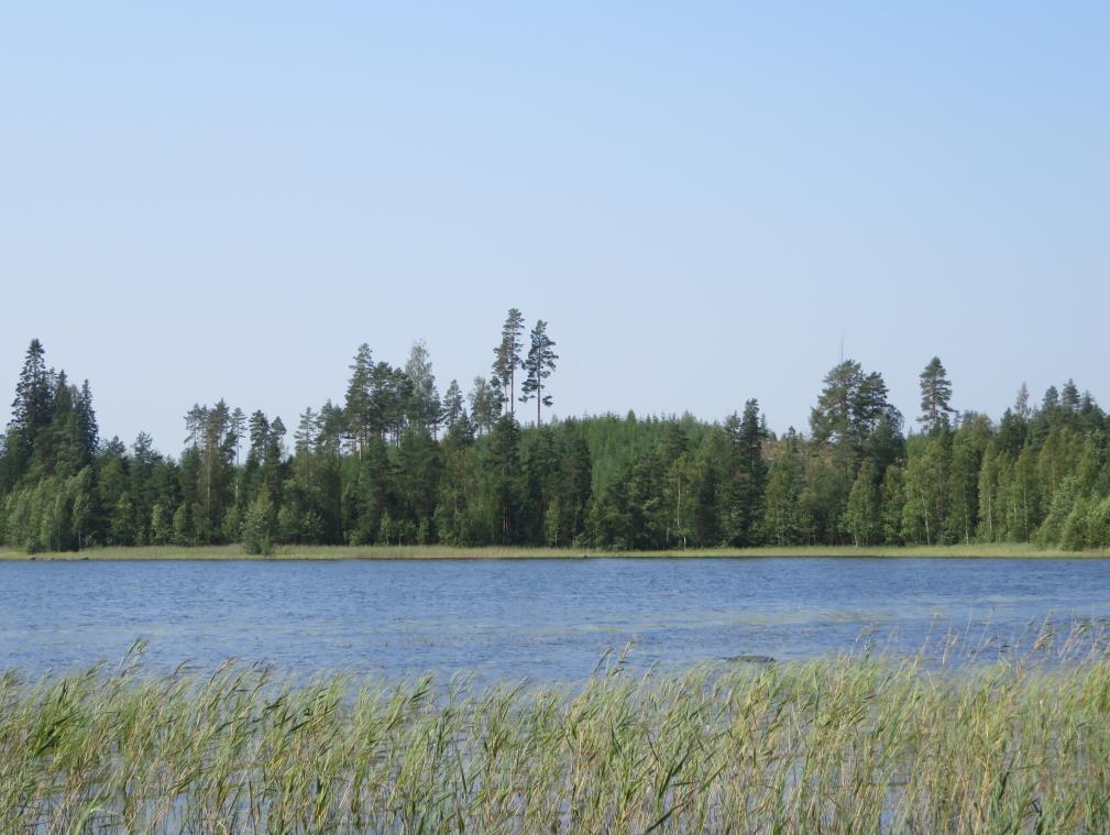 FCG Suunnittelu ja tekniikka Oy