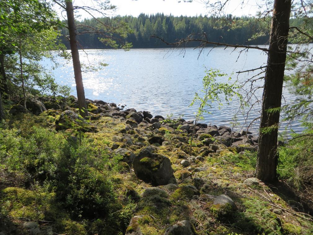 Selvitysalueelle tyypillistä
