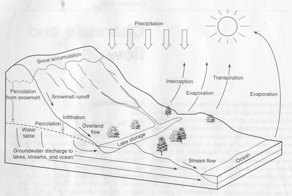 Kuva 1. Kaavamainen piirros veden kiertokulusta (Lähde: Allan 1995) Haihdunta (evaporation) vaikuttaa virtaavan veden virtaamaan (kuva 1).