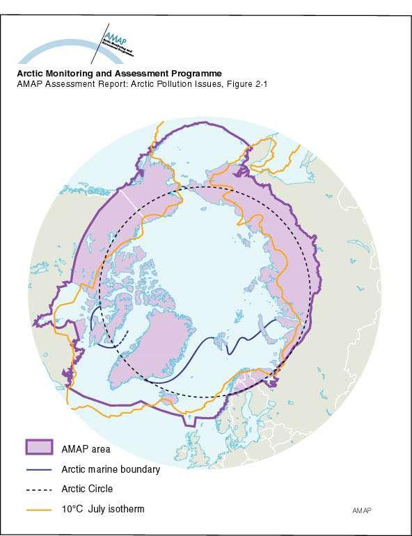 Käytän työssäni usein myös termiä alpiininen, jota käytetään kasvillisuustutkimuksissa ja joka tarkoittaa puurajan yläpuolella mutta pysyvän lumen rajan (nivaalinen vyöhyke) alapuolella sijaitsevaa