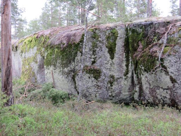 Avokallioita esiintyy korkeimmilla mäkialueilla yleisesti, mutta niiden reunoilla esiintyy jo irtainta maaainesta ja