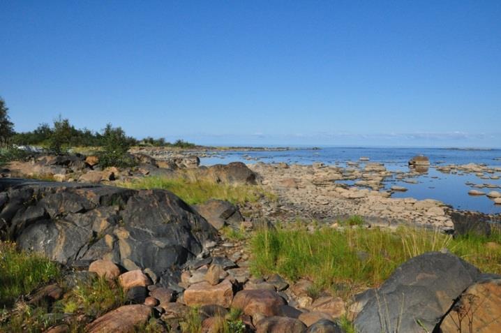 Hankealue käsittää kallioista ja kivikkoista merenrantaa. Kasvillisuus on laikuttaista koostuen tyypillisestä rantakasvillisuudesta (Kuva 10).